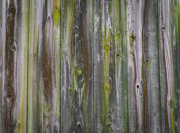 Imágenes de fondo de textura de madera — Foto de Stock