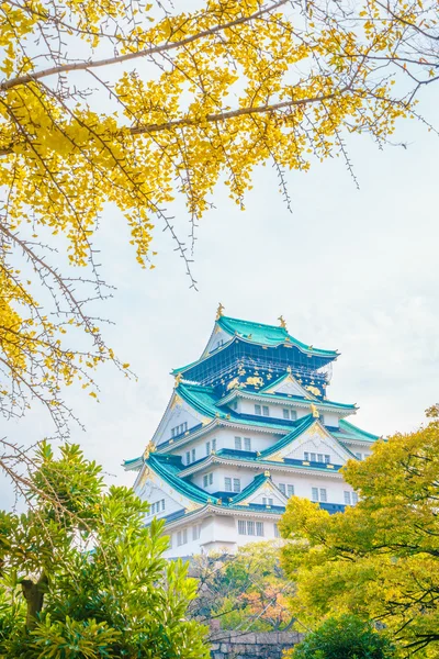 Osaka castle in Osaka Japan — Stock Photo, Image