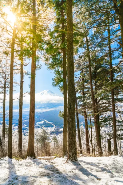 Mountain Fuji with ice coating on the trees — Stock Photo, Image