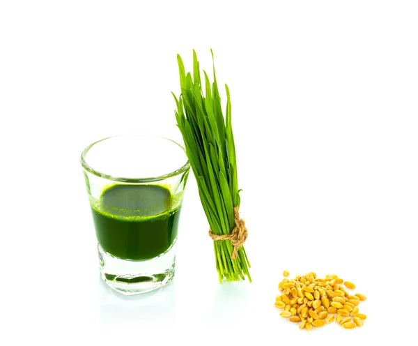 Shot glass of wheat grass with fresh cut wheat grass and wheat g — Stock Photo, Image