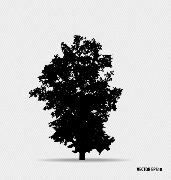 Tree silhouettes. Vector illustration. — Stock Vector