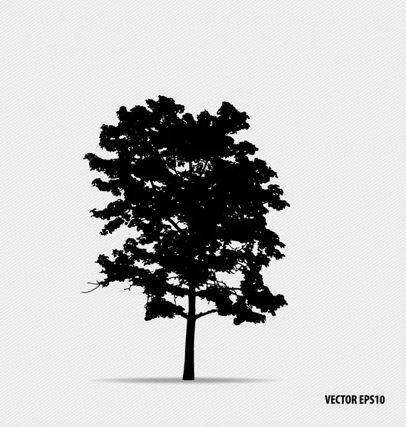 Tree silhouettes. Vector illustration. — Stock Vector