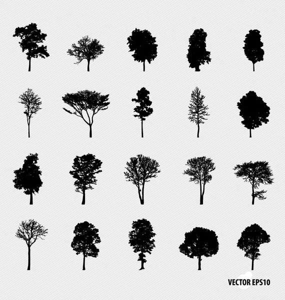 Set of tree silhouettes. Vector illustration. — Stock Vector