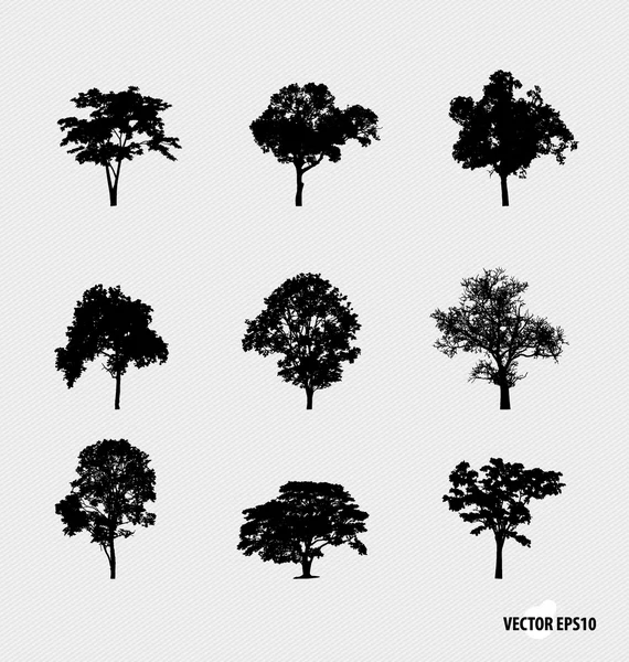 Set of tree silhouettes. Vector illustration. — Stock Vector