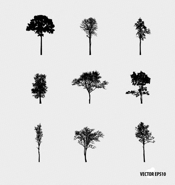 Ensemble de silhouettes d'arbres. Illustration vectorielle . — Image vectorielle