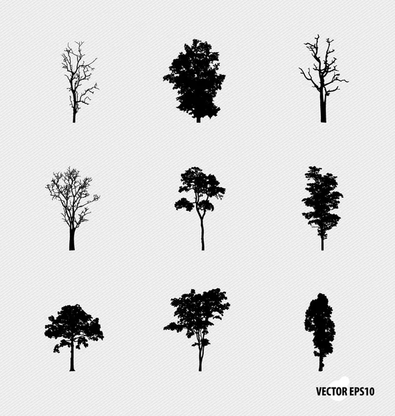 Ağaç siluetleri kümesi. vektör çizim. — Stok Vektör