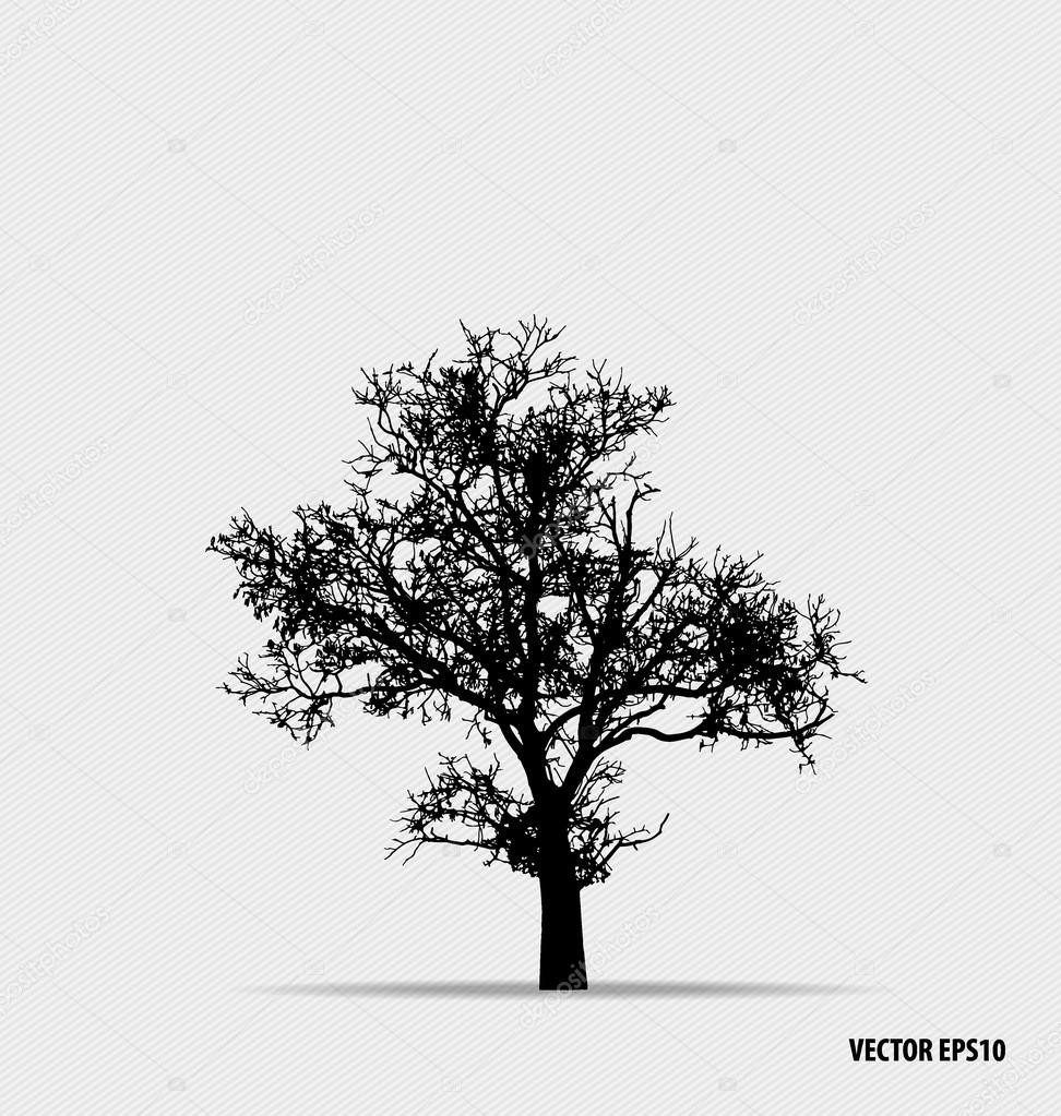 jannystockphoto
