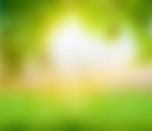 Green nature blur  abstract background — Stock Photo, Image