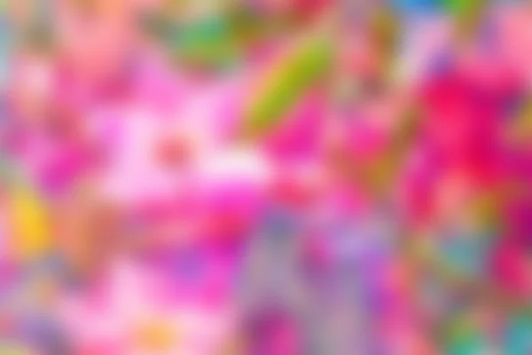 Abstract blur background — Stock Photo, Image