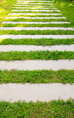 yeşil çim ile parkta yürüyüş yolu