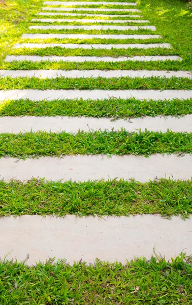 Het pad van de wandeling in het park met groen gras — Stockfoto