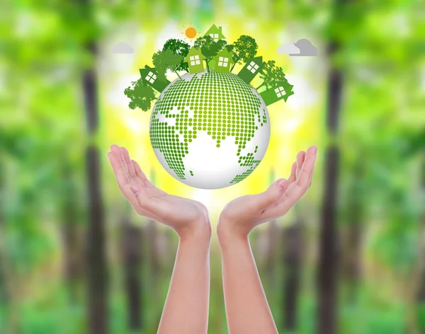 Vrouw handen over groen bos houd eco vriendelijke aarde — Stockfoto