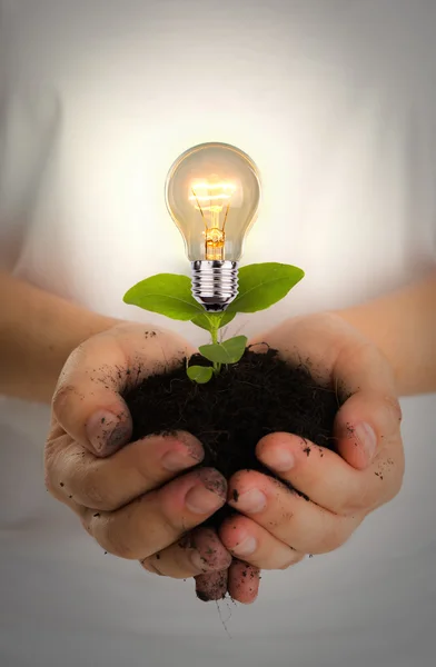 Concepto de energía verde: Bombilla de la planta en la mano de las mujeres — Foto de Stock