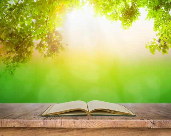 Öppen bok på trägolv med blad — Stockfoto