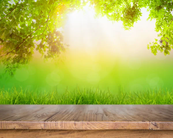 Herbe verte fraîche de printemps et plancher de bois avec feuille verte, été — Photo