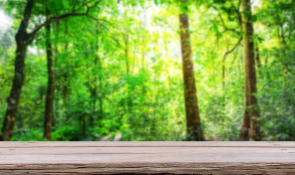 나무 판자 바닥으로 숲 — 스톡 사진