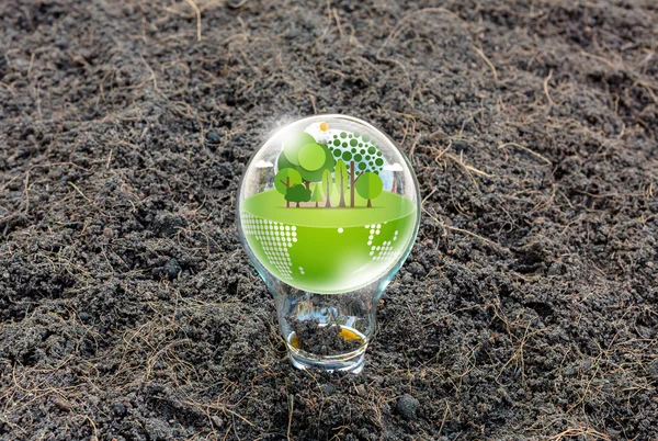 Eco friendly earth in light bulb — Stock Photo, Image