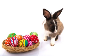 Rabbit with Easter eggs isolated on white background