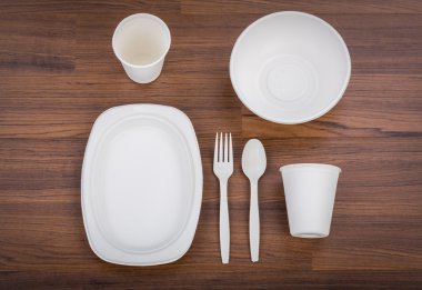 Eko Dostu Ryslampa bitki fiber dishware kümesi: tabak, kaşık 