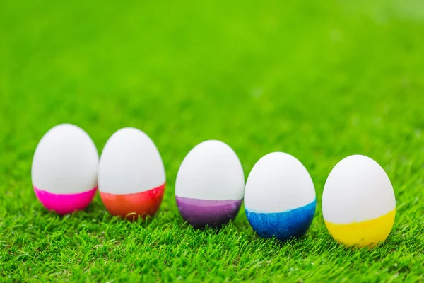 Easter Eggs on Fresh Green Grass — Stock Photo, Image