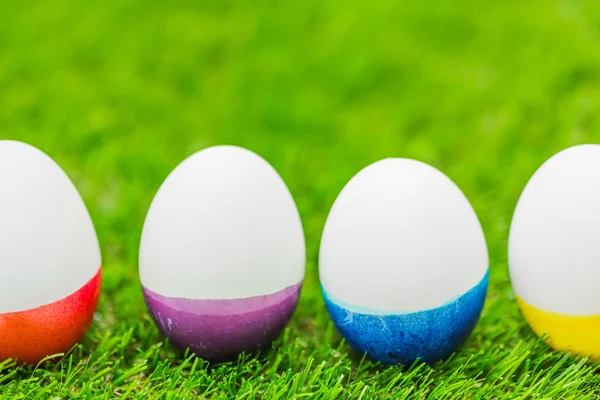 Pasen eieren op fris groen gras — Stockfoto