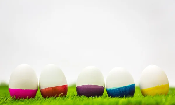 Easter Eggs on Fresh Green Grass — Stock Photo, Image