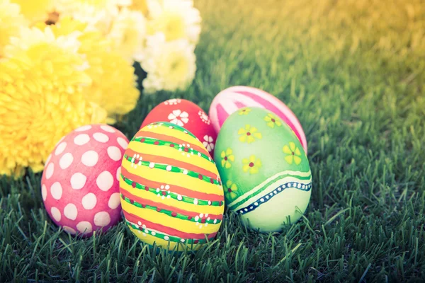 Húsvéti tojás, virág, friss zöld fű (szűrt kép pr — Stock Fotó