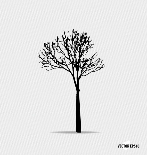 Silueta de árbol. Ilustración vectorial . — Vector de stock