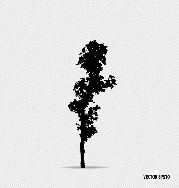 Tree silhouette. Vector illustration. — Stock Vector