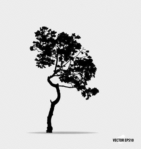 Tree silhouette. Vector illustration. — Stock Vector