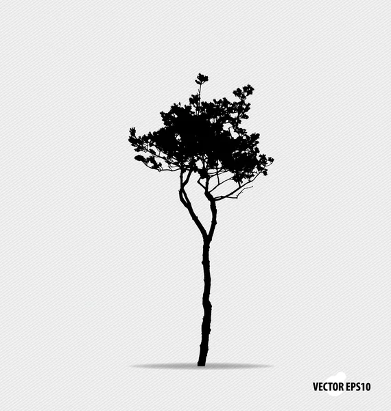 Silhouette d'albero. Illustrazione vettoriale . — Vettoriale Stock