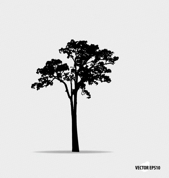 Tree silhouette. Vector illustration. — Stock Vector