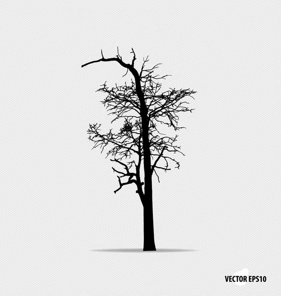 Silueta de árbol. Ilustración vectorial . — Vector de stock