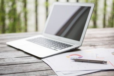 Dizüstü bilgisayar ile masada mali çizelgeleri