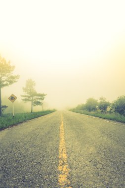 Sis (vintage etkisi filtre uygulanmış görüntü işlenen ağaçları ile yolda