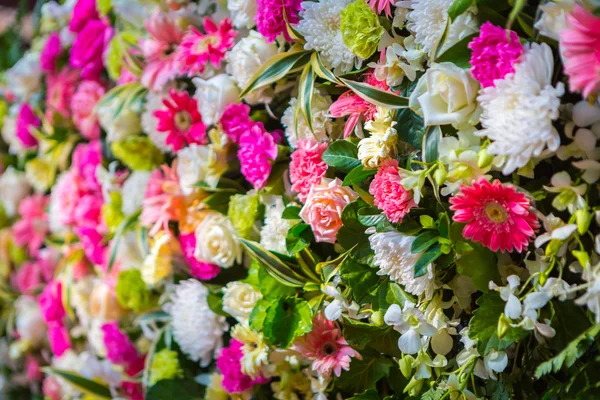 Färgglada gäng blommor — Stockfoto