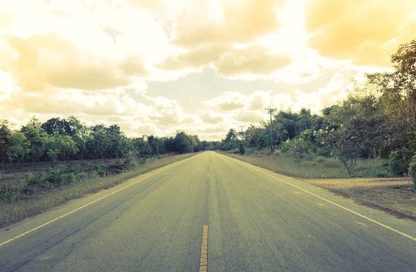 Road with trees ( Filtered image processed vintage effect. ) — Stock Photo, Image