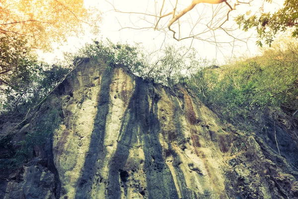 Скеля в лісі (Фільтроване зображення оброблене вінтажним ефектом . ) — стокове фото