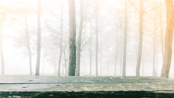 Wood table in forest tree during a foggy day ( Filtered image pr — Stock Photo, Image