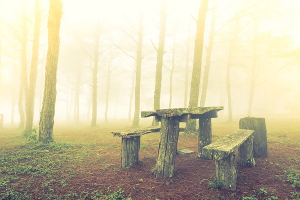 Holztisch im Waldbaum an einem nebligen Tag (gefiltertes Bild pr — Stockfoto