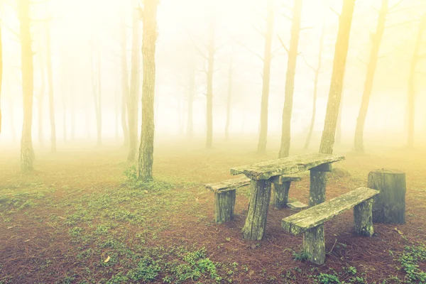 Wood table in forest tree during a foggy day ( Filtered image pr — Stock Photo, Image