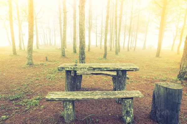 Holztisch im Waldbaum an einem nebligen Tag (gefiltertes Bild) — Stockfoto