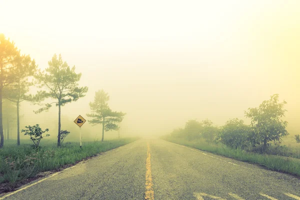 Camino en niebla con árboles (Imagen filtrada efecto vintage procesado —  Fotos de Stock