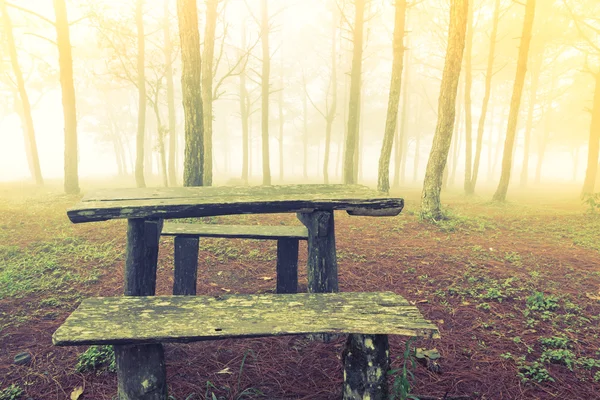 Wood table in forest tree during a foggy day ( Filtered image pr — Stock Photo, Image