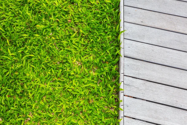 Fresca hierba verde primavera con suelo de madera — Foto de Stock