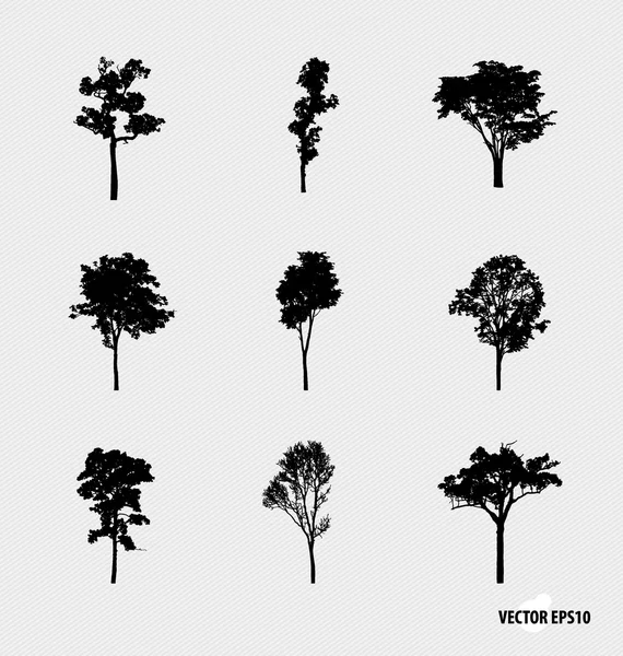 Ağaç siluetleri kümesi. vektör çizim. — Stok Vektör
