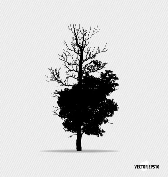 Tree silhouette. Vector illustration. — Stock Vector