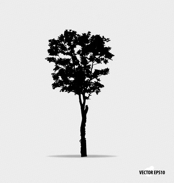 Sílhueta de árvore. Ilustração vetorial . — Vetor de Stock