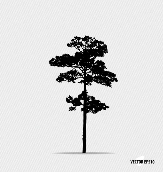 Silueta de árbol. Ilustración vectorial . — Archivo Imágenes Vectoriales