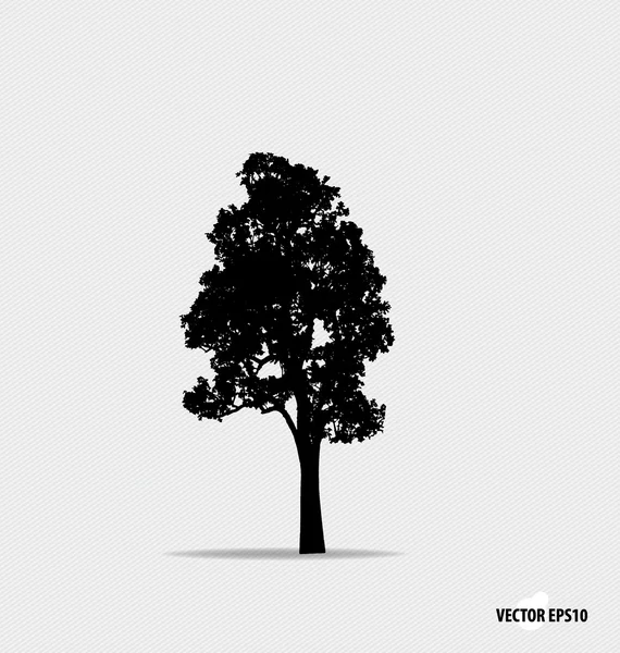 Tree silhouette. Vector illustration. — Stock Vector